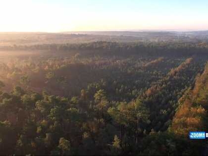 Zoom sur la forêt de Brocéliande, 13h de TF1