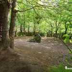 Tombeau de Merlin en forêt de Brocéliande