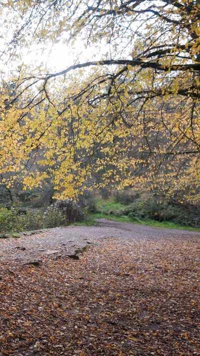 La digue du Miroir aux Fées en automne