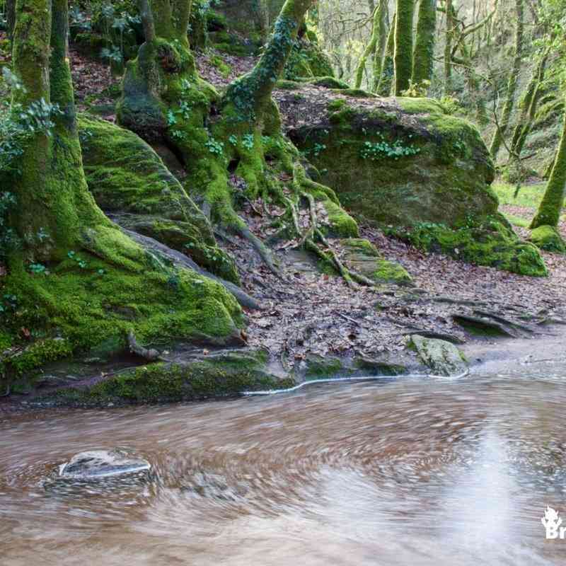 le-val-sans-retour-broc-liande-en-bretagne