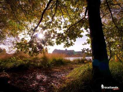 L'abbaye - Tour de l'étang de Paimpont