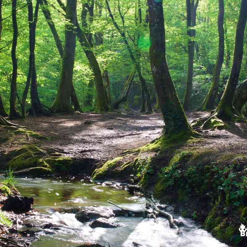 le-val-sans-retour-guide-de-broc-liande