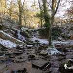 Neige à la cascade du Rauco près de l'arbre d'or dans le Val sans&nbsp;(…)