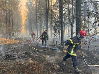 Intervention des pompiers dans les landes calcinés de Brocéliande