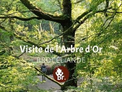 Visite de l'Arbre d'Or