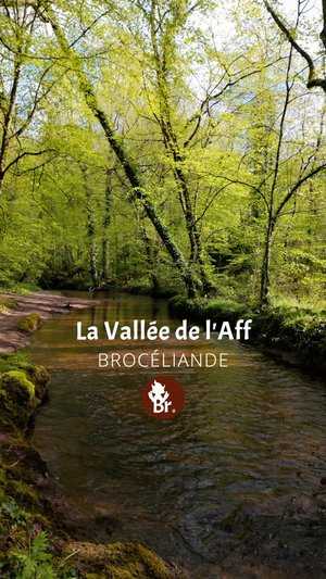 Vallée de l'Aff en Brocéliande