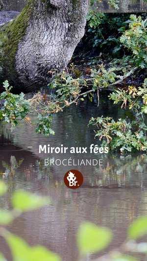 Le Miroir aux fées après la pluie