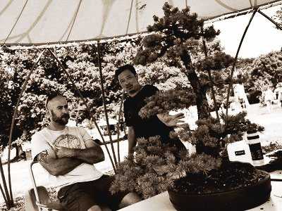 Demo atelier bonsaï / Jardins de Brocéliande