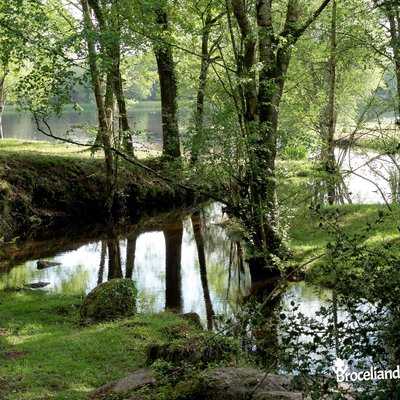 Quand le ruisseau du Pont Dom Jean serpente une dernière fois avant de se perdre dans l'Étang de la Marette