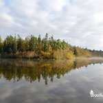 L'étang des Forges de Paimpont en automne