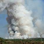 Incendie en Brocéliande le 17 juillet 2025