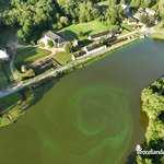 Spirale à la surface de l'étang des Forges de Paimpont