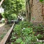 Potager d'aromatiques de Ludo - Au Café Vagabond