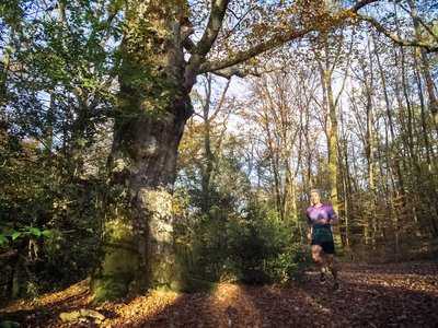 Stage Trail avec Dévrig Bouillet / Galoupa