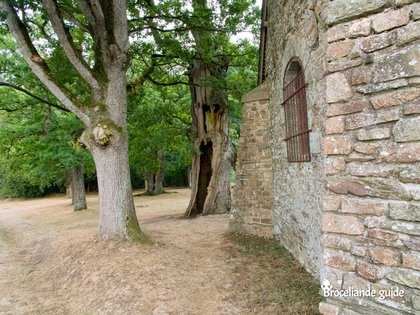 Chênes et chapelles de Kernéant