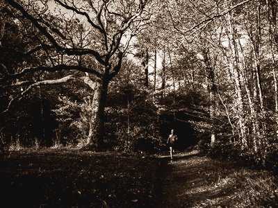 Trail avec Dévrig Bouillet / Galoupa