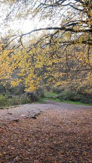 La digue du Miroir aux Fées en automne