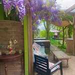 Terrasse / Pergola - Au Café Vagabond
