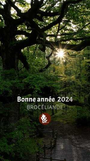Bonne année 2024 Brocéliande / Short