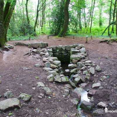 Fontaine de Barenton en Brocéliande