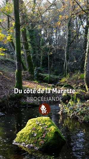 Du coté de la Marette / Short