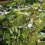 Exposition : Couronnement par Florence de Vries au Jardin Kalon Gwez