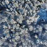 Neige sur la basse forêt de Paimpont / Brocéliande