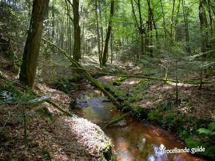 Bois de Melâtre et ruisseau de Comper