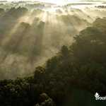 Brumes d'automne du côté du Domaine de Careil
