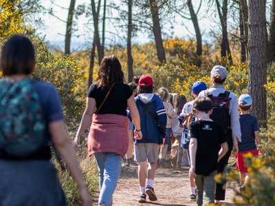 Balade sur les hauteurs du Val sans Retour en Brocéliande