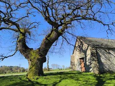 Chapelle de Kernéant