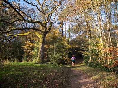 Trail avec Dévrig Bouillet / Galoupa