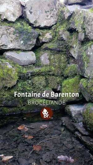 Fontaine de Barenton / Short