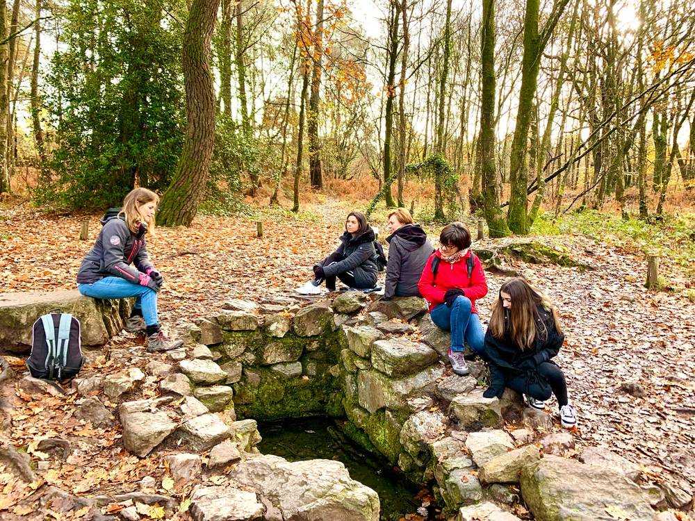 Balade à la fontaine de Barenton avec Priscille Deneux