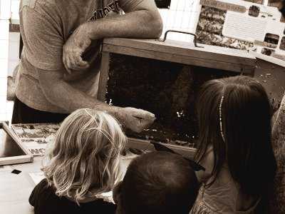 Les abeilles et les plantes mellifères / Apiculteurs aux Jardins de Brocéliande