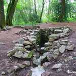 Fontaine de Barenton en forêt de Brocéliande