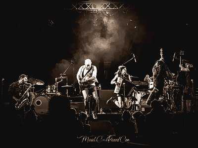 Graines de sel Live