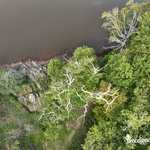 Vue aérienne du vieux chêne au bout de la digue de l'étang du Pont Dom (...)