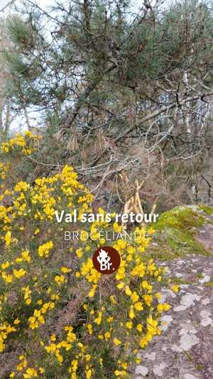 Val sans retour / short