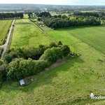 Vue des cabanes de Brocéliande avec la colline de Brocéliande au fond de (…)