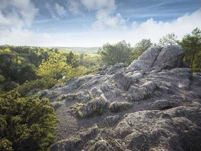 Val sans Retour avec les ajoncs d'or