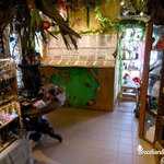 Boutique Les Mystères de Brocéliande