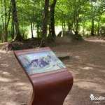 Panneau d'information - Tombeau de Merlin en forêt de Brocéliande