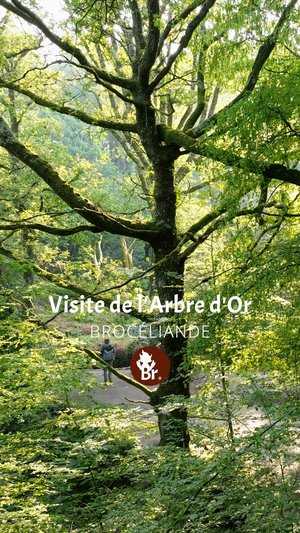 Visite de l'Arbre d'Or