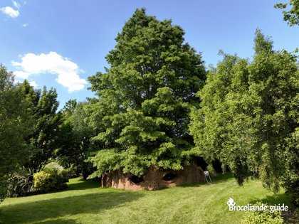 Le Gardien aux Jardins de Brocéliande