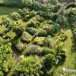 Jardin Kalon Gwez