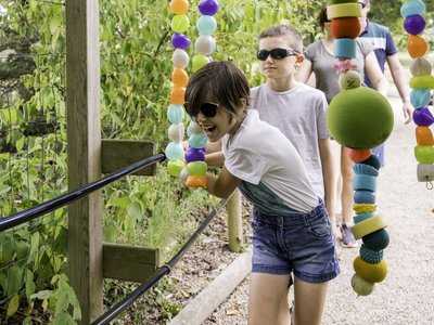 Active tes sens aux Jardin de Brocéliande