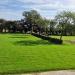 Parc avec pelouse - Gîte Les Charmilles - Ruffiac/Morbihan