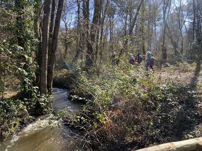 Randonnée avec l'ASB dans le Bois de Melâtre