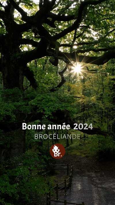 Bonne année 2024 Brocéliande / Short
